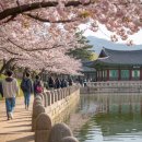 동아대 부산체육관 | 전국 지역별 대학생 MT 추천장소