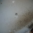 경동석유 이미지