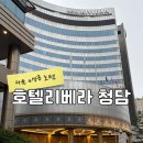 호텔리베라서울 | [서울 가성비 호텔 추천] 호텔리베라 청담 숙박 후기