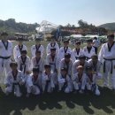 청도태권도 이미지