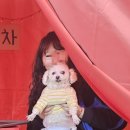 윤미장원 - 거제시 거제중앙로19길 30 | 덕천미용실 윤미장원 레이어드펌/히피펌 내돈내산 후기
