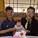 프림로지케이크