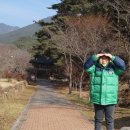 왕씨삼세충효정려 이미지