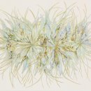 김선아트 이미지