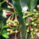 향로농장 이미지