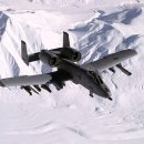 A10 Daum카페
