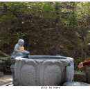 관음사 가는길 이미지