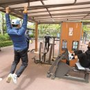 체육소공원 이미지