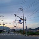 매콤한 순대 곱창과 논알콜 하이볼 한잔 김해 주촌 효도리