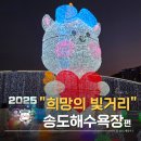 희망의 빛 | 아이들과 만든 겨울 추억, 송도해수욕장 서구 희망의 빛거리 빛축제 후기