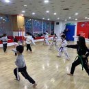 백호태권도 이미지