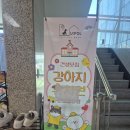 유폴 애견셀프목욕, 애견미용, 애견용품 직영점 네이버블로그