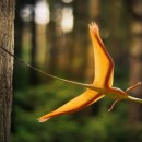 샤로브냐 | 샤로빕테릭스