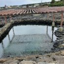 온평리-9 이미지