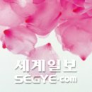 체리블러썸인터내셔널