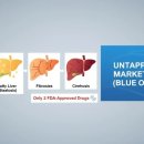 (주)한국약품 | 글로벌 제약사 철수 후 남은 지방간 신약 시장… 한미약품·올릭스가 선점한다