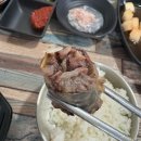 충주식 병천시래기순대국 네이버블로그