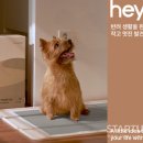 하나로뉴푸드 이미지