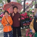 빛나리 목장 이미지