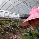 기순농장 이미지