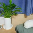 미니미니 이미지