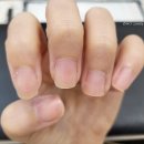 네일꾸띄르