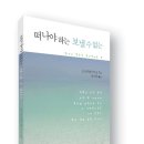 떠나야 하는, 보낼 수 없는 (세움과비움) 10 이미지