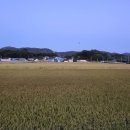 망주보건진료소 이미지