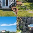 구몰니인사리 이미지