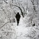 알이조아 이미지