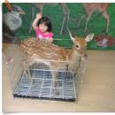 약사아이파크어린이집 이미지