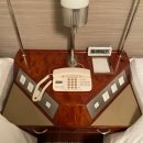월등파크호텔 | [일본] 도쿄, 도쿄타워 뷰 호텔 후기_더 프린스 파크 타워 도쿄(The Prince Park Tower Tokyo)