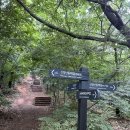 신정산 둘레길 [계남공원]