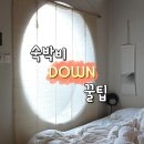 서울 호텔 예약 꿀팁 총정리 : 성수기에도 알뜰하게 예약하는 방법 이미지