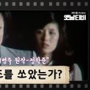 80. 누가 백조를 쏘았는가/이병주 이미지