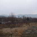 송삼농장 이미지