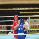 복싱피스트 호수 이미지