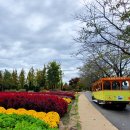 순천만국가정원 이미지