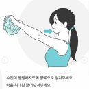 국술원도장 이미지