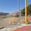 병곡면사무소 이미지