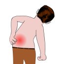 신호필한의원 이미지