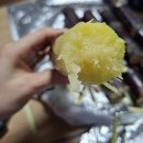 한국기술냉동 | 생 사탕수수 냉동 두리안 후기