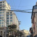 논현2-126 | 강남 베뉴 투어 하우스웨딩 야외 느낌 밝은 웨딩홀 ‘빌라드지디 논현점' 주차, 식사, 2026년 견적/계약 O