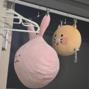 항상쾌한외과의원 이미지