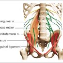 진심과정성 한의원 이미지