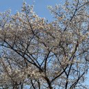 야탑고매점 | 바빴던 3•4