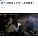 음주운전 8차례 하고도 또 음주운전 결국 차량 몰수 이미지