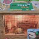 빛여울유치원 이미지