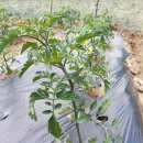 이가네농장 이미지