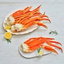 주식회사 대게킹 이미지